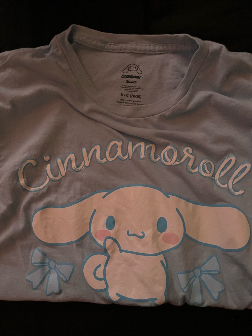 Sanrio Cinnamoroll Light Blue Graphic Tee with Pastel Pink Accents